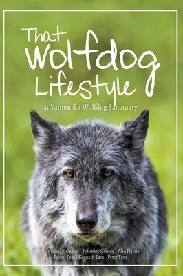 Stilul de viață al câinilor lup: la Yamnuska Wolfdog Sanctuary - That Wolfdog Lifestyle: at Yamnuska Wolfdog Sanctuary