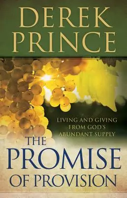 Promisiunea de provizie - Promise of Provision