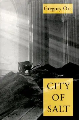 Orașul de sare - City Of Salt