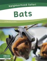 Lilieci - Bats