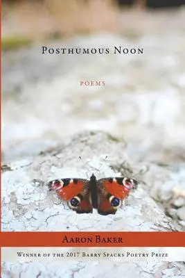 Postumous Noon - Posthumous Noon