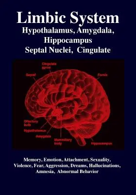 Sistemul limbic: Amygdala, Hipotalamus, Nuclee septale, Cingulate, Hipocampus: Emoție, memorie, limbaj, dezvoltare, evoluție, iubire - Limbic System: Amygdala, Hypothalamus, Septal Nuclei, Cingulate, Hippocampus: Emotion, Memory, Language, Development, Evolution, Love