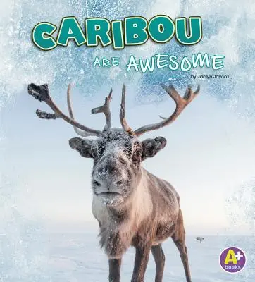 Caribou sunt Awesome - Caribou Are Awesome