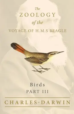 Păsări - Partea III - Zoologia călătoriei lui H.M.S Beagle - Birds - Part III - The Zoology of the Voyage of H.M.S Beagle