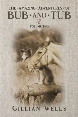 Aventurile lui Bub și Tub - Volumul doi - The Adventures of Bub & Tub Volume Two