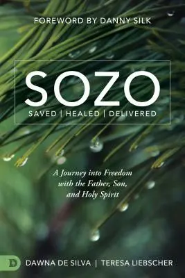 Sozo Saved Healed Delivered: O călătorie în libertate cu Tatăl, Fiul și Duhul Sfânt - Sozo Saved Healed Delivered: A Journey Into Freedom with the Father, Son, and Holy Spirit
