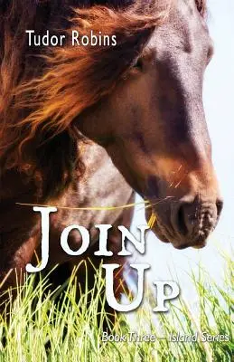 Alăturați-vă - Join Up