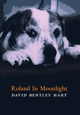 Roland în lumina lunii - Roland in Moonlight