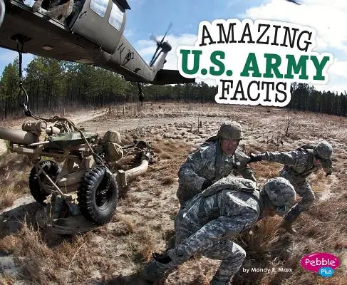 Fapte uimitoare despre armata americană - Amazing U.S. Army Facts