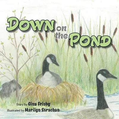 Jos pe iaz - Down on the Pond