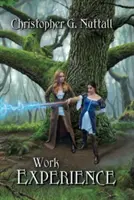 Experiența muncii - Work Experience
