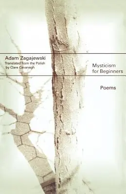 Misticism pentru începători: Poezii - Mysticism for Beginners: Poems