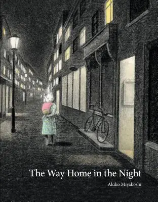 Drumul spre casă în noapte - The Way Home in the Night
