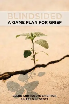 Blindsided: Un plan de joc pentru durere - Blindsided: A Game Plan for Grief
