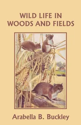 Viața sălbatică din păduri și câmpuri (Clasicii de ieri) - Wild Life in Woods and Fields (Yesterday's Classics)