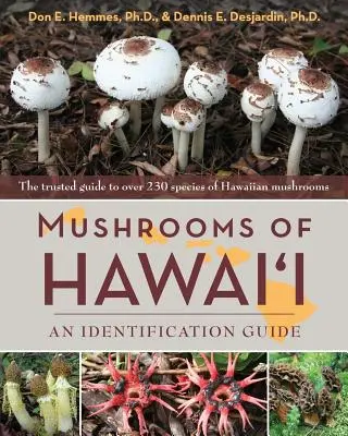 Ciupercile din Hawai'i: Un ghid de identificare - Mushrooms of Hawai'i: An Identification Guide