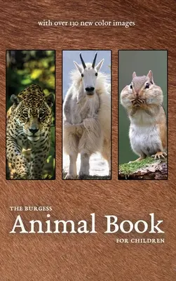The Burgess Animal Book cu noi imagini color - The Burgess Animal Book with new color images