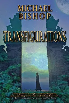 Transfigurări - Transfigurations