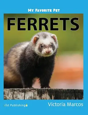 Animalul meu preferat: Dihorii - My Favorite Pet: Ferrets
