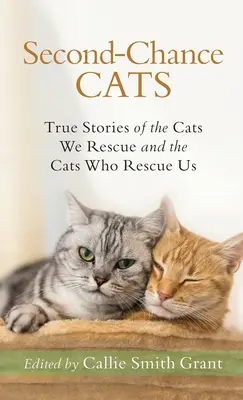 Pisici cu a doua șansă - Second-Chance Cats