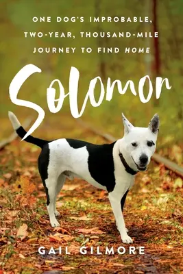 Solomon: Călătoria improbabilă, de doi ani și o mie de mile a unui câine pentru a-și găsi casa - Solomon: One Dog's Improbable, Two-year, Thousand-mile Journey to Find Home