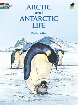 Cartea de colorat Viața arctică și antarctică - Arctic and Antarctic Life Coloring Book
