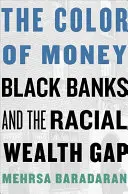 Culoarea banilor: Băncile negre și diferența rasială de bogăție - The Color of Money: Black Banks and the Racial Wealth Gap