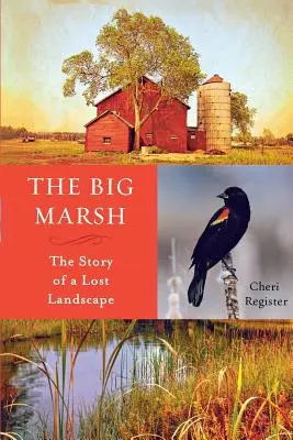 The Big Marsh: Povestea unui peisaj pierdut - The Big Marsh: The Story of a Lost Landscape