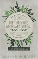 Secure: Jurnalul de rugăciune de treizeci și una de zile Conectarea la Dumnezeu prin rugăciune perseverentă - Secure: The Thirty-One Day Prayer Journal Connecting to God Through Persistent Prayer