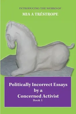 Politically Incorrect Essays by a Concerned Activist: Cartea 1 - Politically Incorrect Essays by a Concerned Activist: Book 1