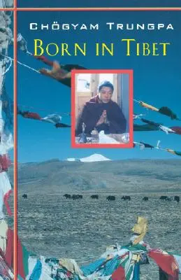 Născut în Tibet - Born In Tibet