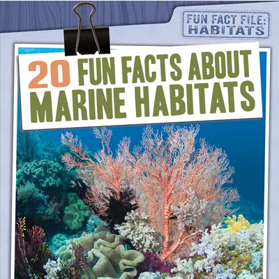 20 de fapte amuzante despre habitatele marine - 20 Fun Facts about Marine Habitats
