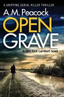 Open Grave: Un thriller captivant despre un criminal în serie - Open Grave: A Gripping Serial Killer Thriller
