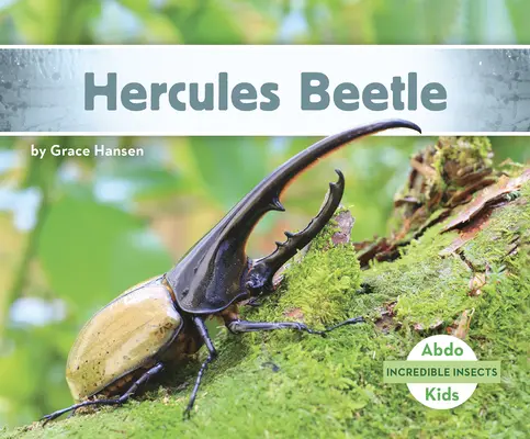 Gândacul Hercule - Hercules Beetle