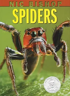 Nic Bishop: Păianjeni - Nic Bishop: Spiders
