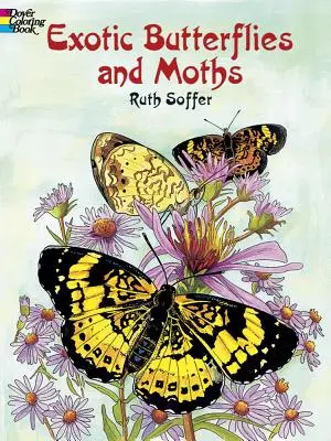 Carte de colorat cu fluturi și molii exotice - Exotic Butterflies and Moths Coloring Book