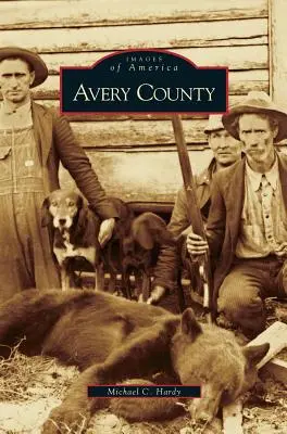 Comitatul Avery - Avery County