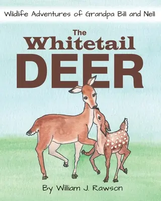 Cerbul cu coada albă - The Whitetail Deer