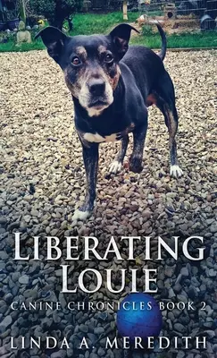 Liberating Louie: Drumul spre Rutland - Liberating Louie: The Road To Rutland