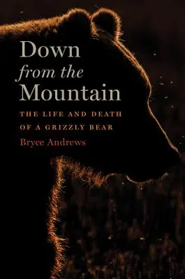 Down from the Mountain - Viața și moartea unui urs grizzly - Down from the Mountain - The Life and Death of a Grizzly Bear