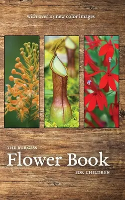 The Burgess Flower Book cu noi imagini color - The Burgess Flower Book with new color images