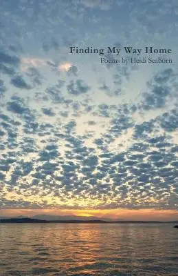 Găsindu-mi drumul spre casă - Finding My Way Home