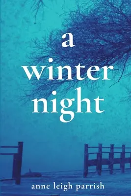 O noapte de iarnă - A Winter Night