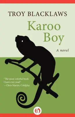 Băiatul Karoo - Karoo Boy