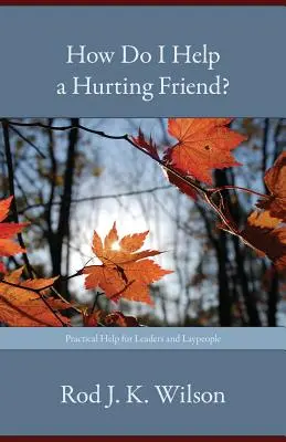 Cum pot ajuta un prieten care suferă? - How Do I Help a Hurting Friend?