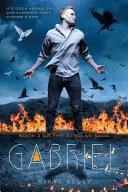 Gabriel: Cartea 2 din Saga Styclar - Gabriel: Book 2 of the Styclar Saga