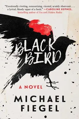 Mierla - Blackbird