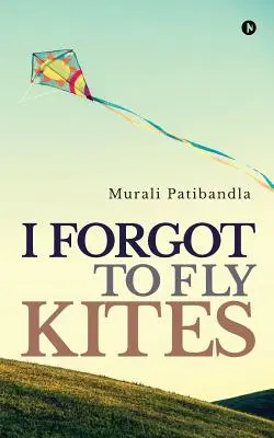 Am uitat să zbor cu zmeii - I Forgot to Fly Kites