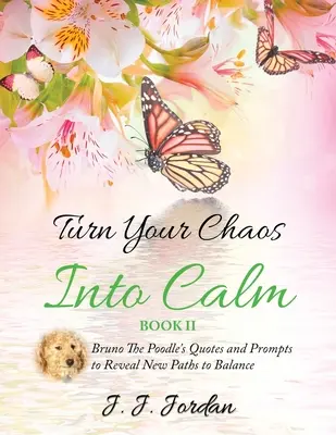 Transformă-ți haosul în calm - Turn Your Chaos Into Calm