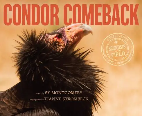 Revenirea condorului - Condor Comeback